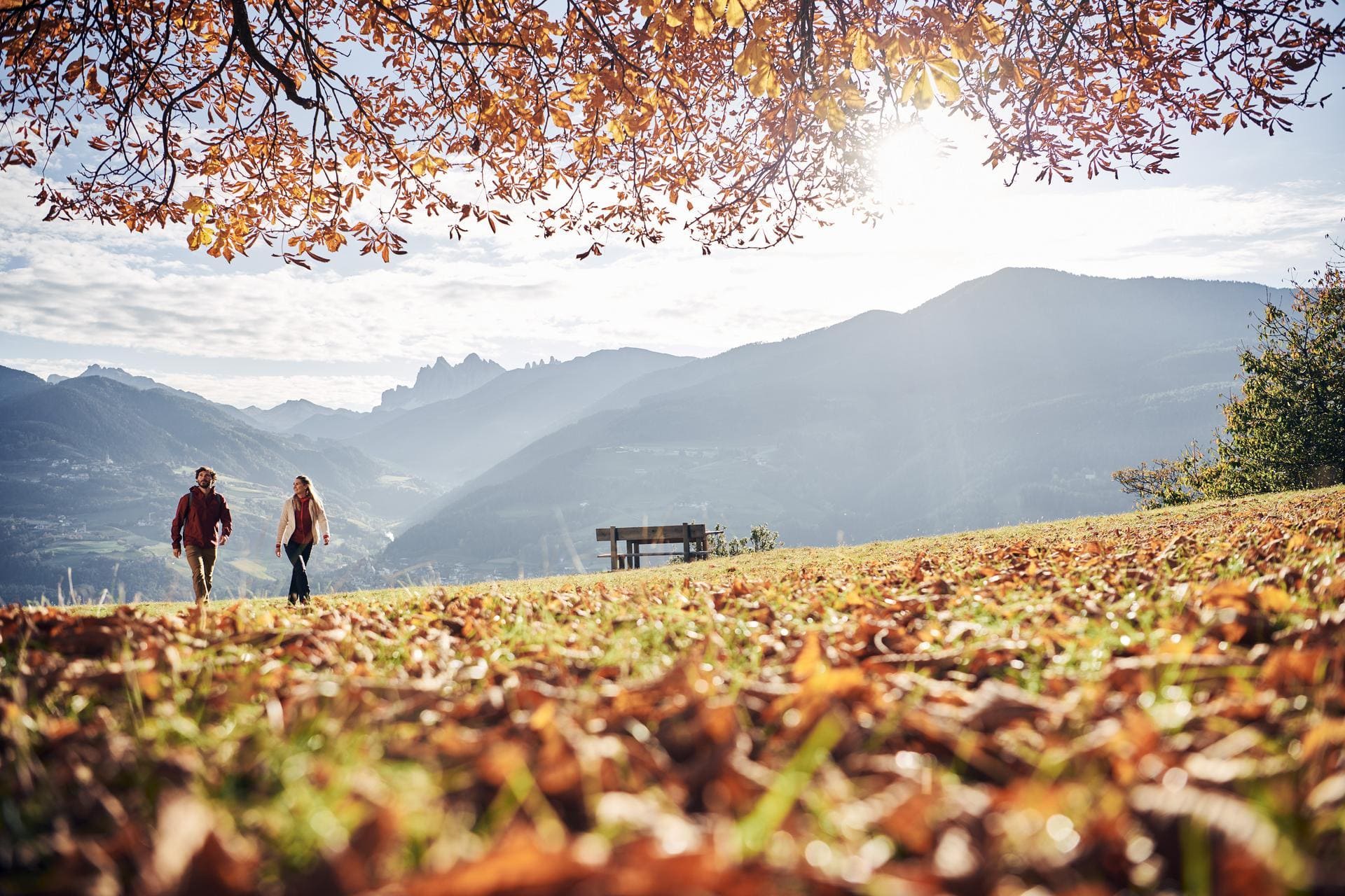 Herbstwanderung in Südtirol im Eisacktal